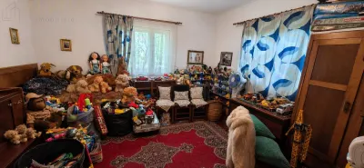 CASA CU TEREN GENEROS IN HERINA, BN – OPORTUNITATE DE INVESTITIE TURISTICA SAU REZIDENTIALA - foto 7