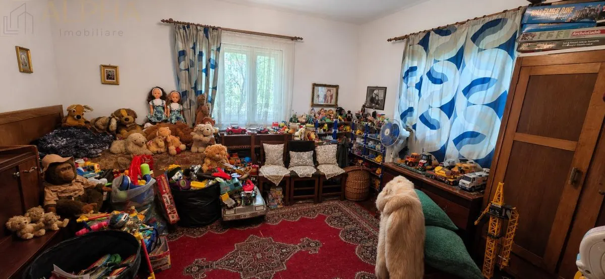 CASA CU TEREN GENEROS IN HERINA, BN – OPORTUNITATE DE INVESTITIE TURISTICA SAU REZIDENTIALA - foto 7