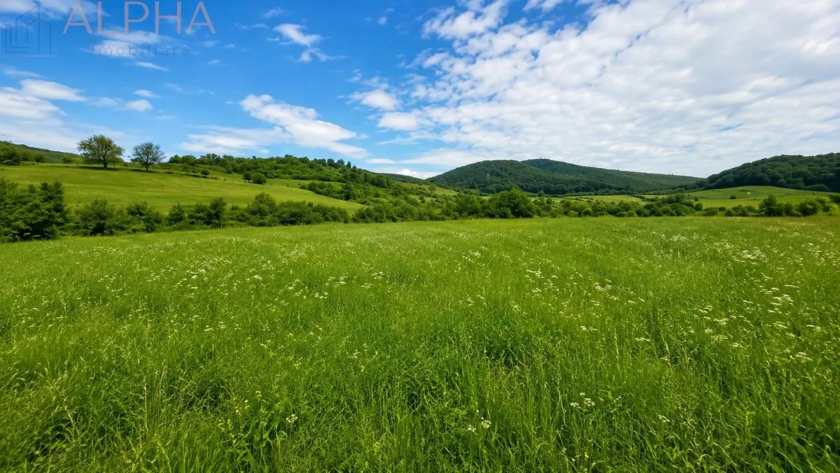 CASA CU TEREN GENEROS IN HERINA, BN – OPORTUNITATE DE INVESTITIE TURISTICA SAU REZIDENTIALA - foto 8