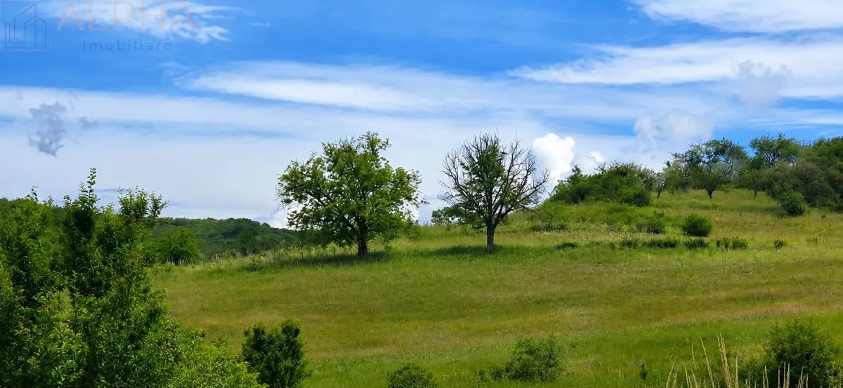 CASA CU TEREN GENEROS IN HERINA, BN – OPORTUNITATE DE INVESTITIE TURISTICA SAU REZIDENTIALA - foto 9
