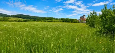 CASA CU TEREN GENEROS IN HERINA, BN – OPORTUNITATE DE INVESTITIE TURISTICA SAU REZIDENTIALA - foto 10