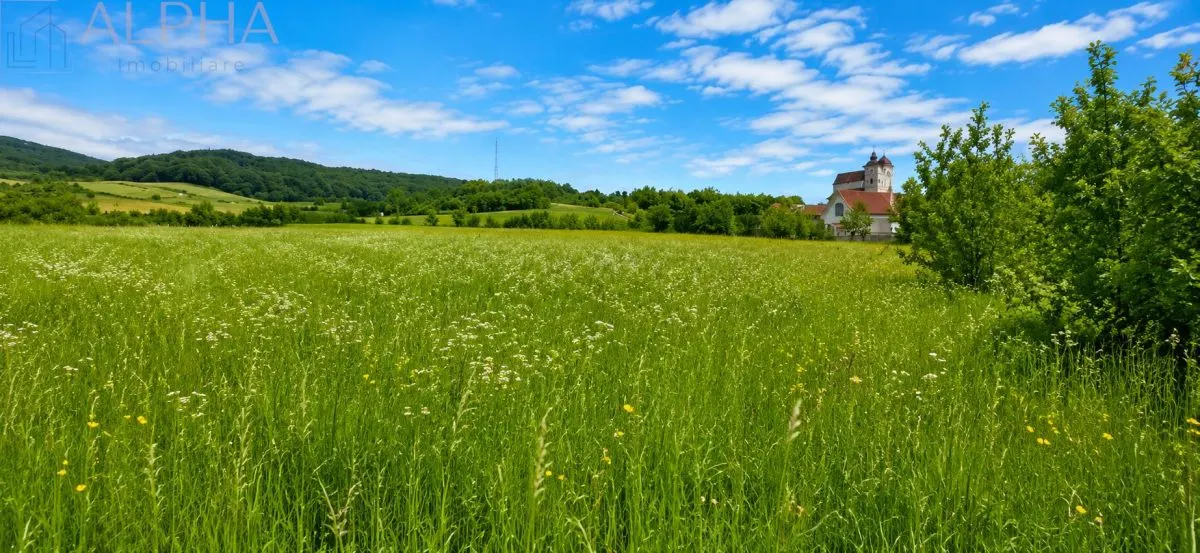 CASA CU TEREN GENEROS IN HERINA, BN – OPORTUNITATE DE INVESTITIE TURISTICA SAU REZIDENTIALA - foto 10