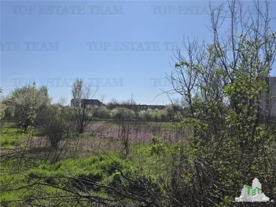 TEREN Intravilan 8.500 mp PACII - foto 6