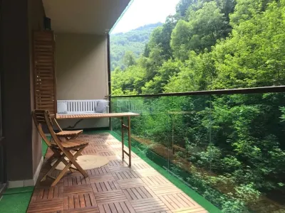 Deosebita prezentare in verdele padurii, Tampa Gardens - Brasov