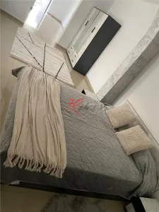 Vanzare apartament 2 camere in vila Gara de Nord - foto 11