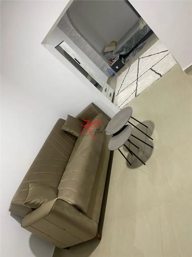 Vanzare apartament 2 camere in vila Gara de Nord - foto 6