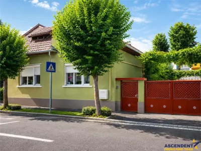 3D!Ansamblu casa+productie+comercial, 3 corpuri,acces stradal,Tudor,Targu Mures, potential ridicat. - Targu Mures