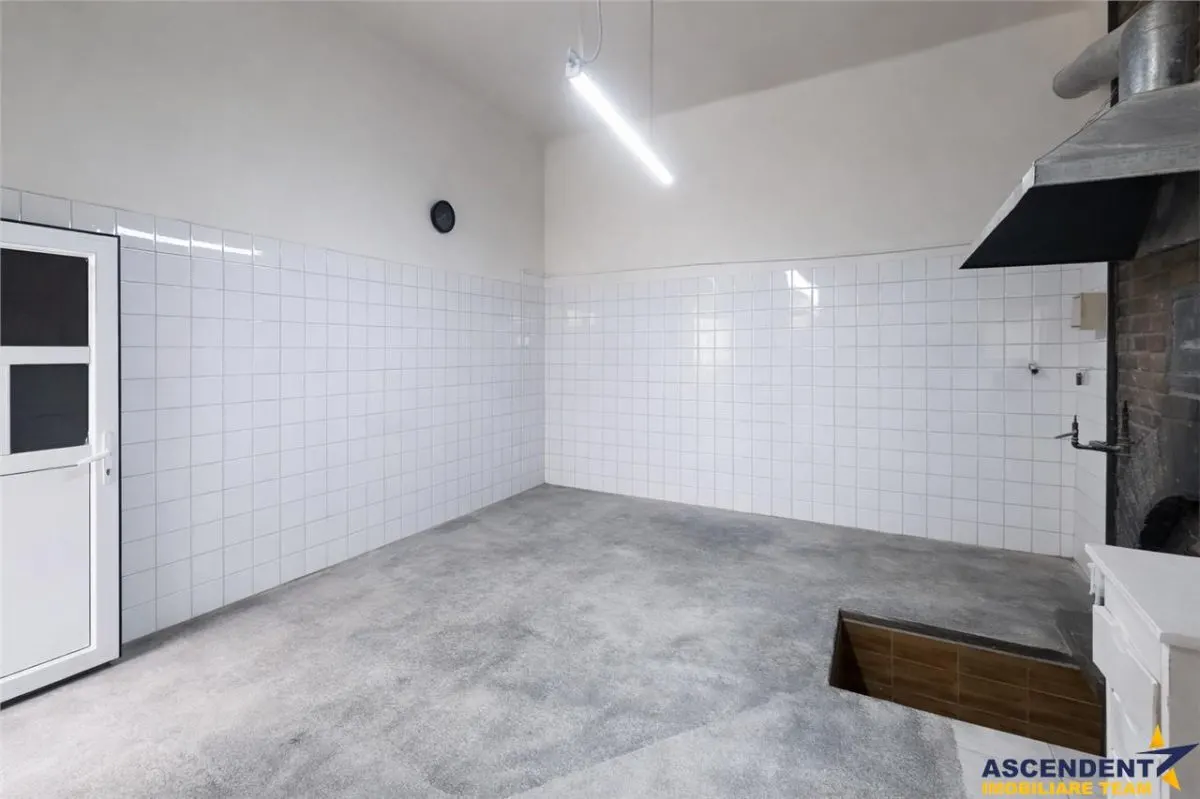 3D!Ansamblu casa+productie+comercial, 3 corpuri,acces stradal,Tudor,Targu Mures, potential ridicat. - foto 7