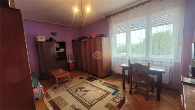 Casa solidă și spațioasă în centrul orașului Livada - foto 10