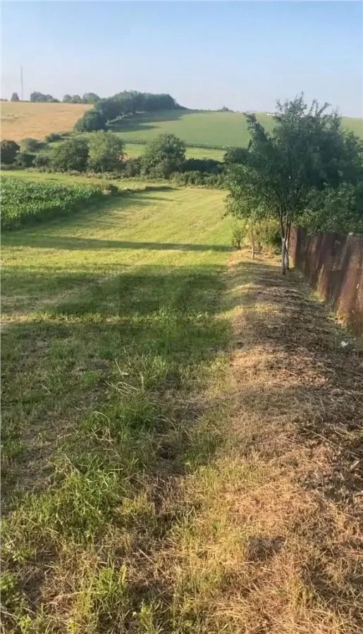 Reco  Casa cu teren 5800 mp in Ghenetea la strada asfaltata recent - foto 2