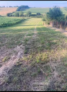 Reco  Casa cu teren 5800 mp in Ghenetea la strada asfaltata recent - foto 3