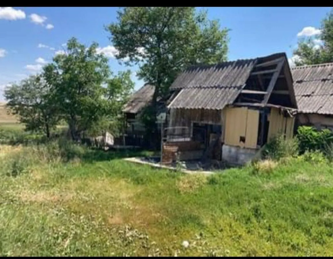 Reco  Casa cu teren 5800 mp in Ghenetea la strada asfaltata recent - foto 5