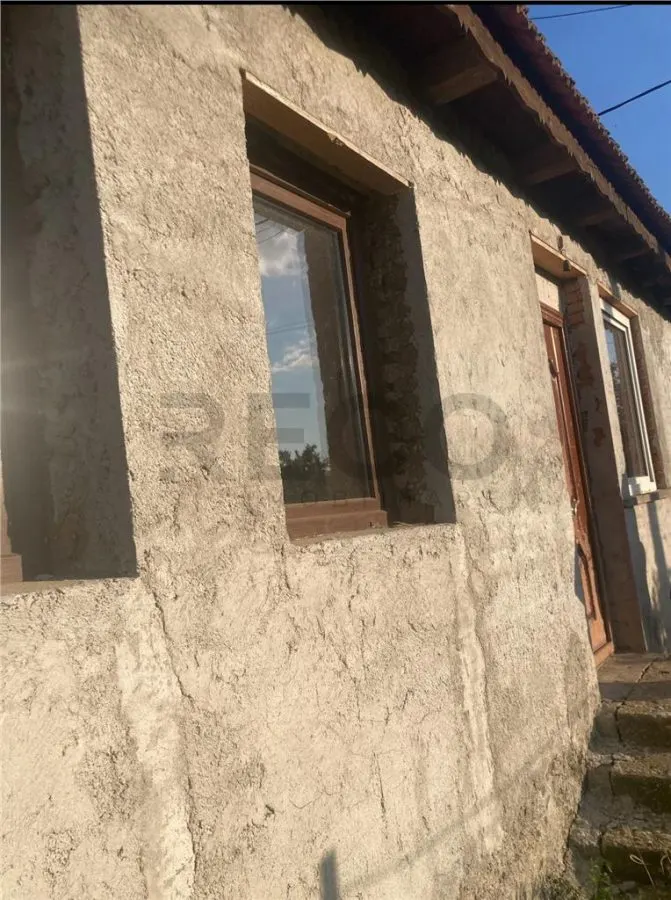 Reco  Casa cu teren 5800 mp in Ghenetea la strada asfaltata recent - foto 7