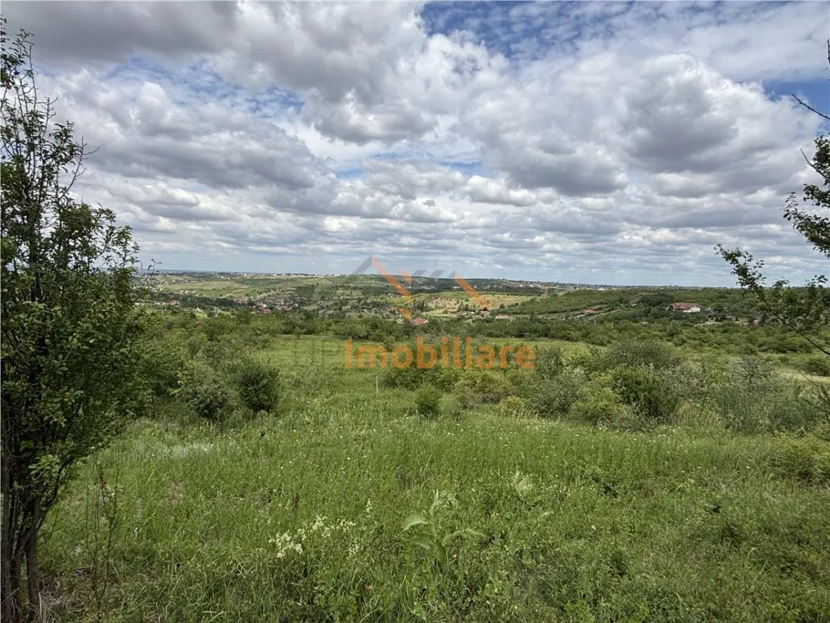 TEREN INTRAVILAN  | 1.824 MP  | DEALURI  | ORADEA - foto 1