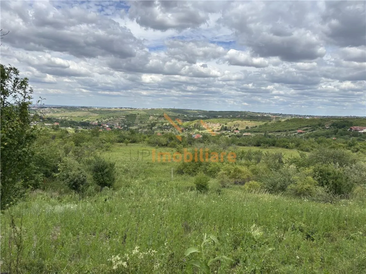 TEREN INTRAVILAN  | 1.824 MP  | DEALURI  | ORADEA - foto 3