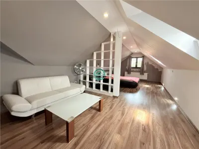 Vand casa cu 4 camere in zona semicentrala, 340mp utili si teren 510mp - foto 7