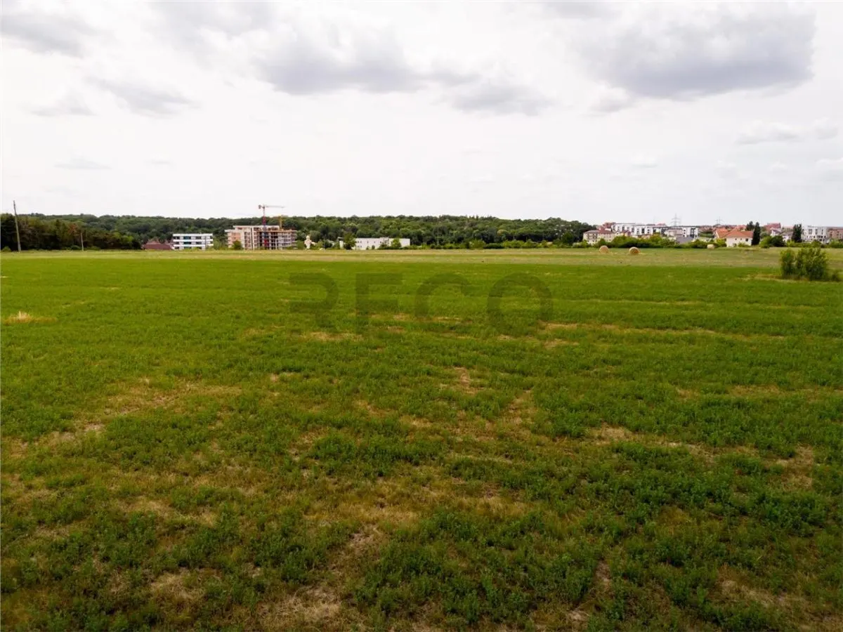 RECO Teren intravilan Haieu 4408mp - foto 7