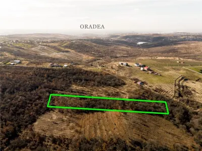 Reco Teren ideal pentru investitii- Saldabagiu de Munte - foto 2