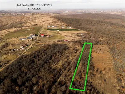 Reco Teren ideal pentru investitii- Saldabagiu de Munte - foto 3