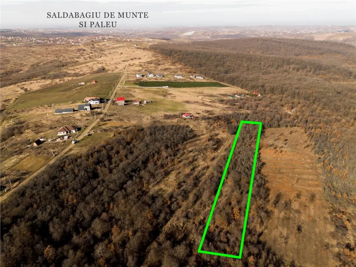 Reco Teren ideal pentru investitii- Saldabagiu de Munte - foto 3