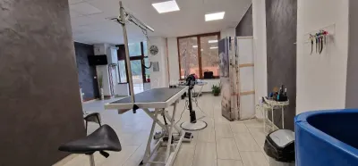 Resita Central Spatiu Comercial Judecatorie - foto 2