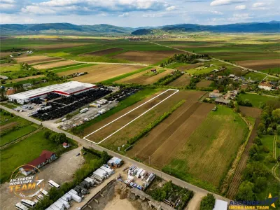 FILM! 5.000 mp teren, la marginea orasului Targu Secuiesc, aria industriala - foto 4