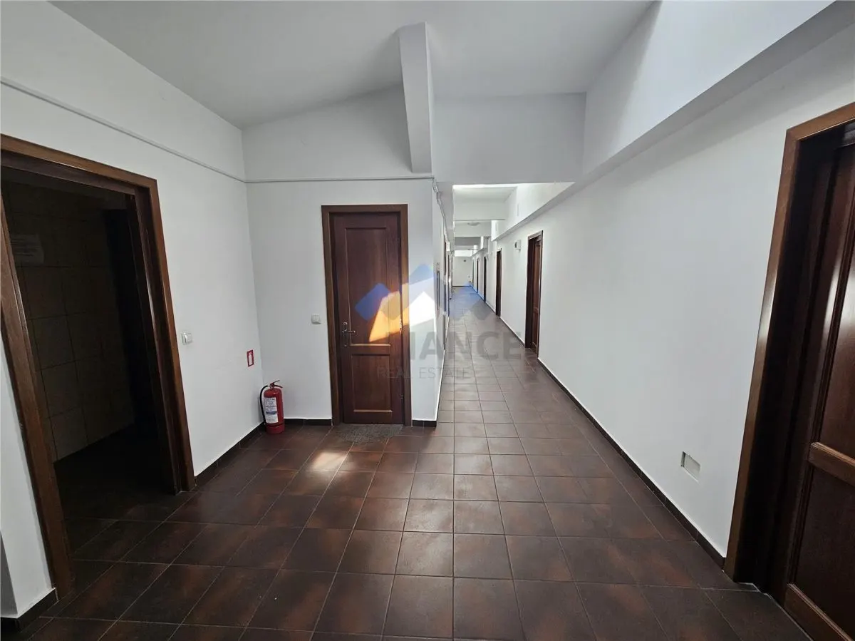 Spatii birou, Pietonal Stefan cel Mare - foto 10