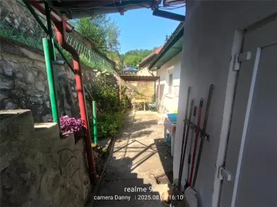 Resita Casa Zona Gradina Zoologica - foto 8