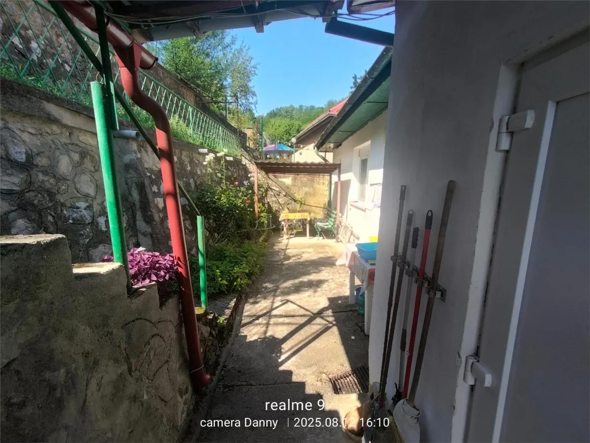 Resita Casa Zona Gradina Zoologica - foto 8