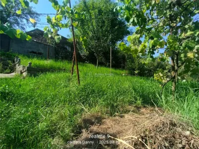 Resita Casa Zona Gradina Zoologica - foto 9