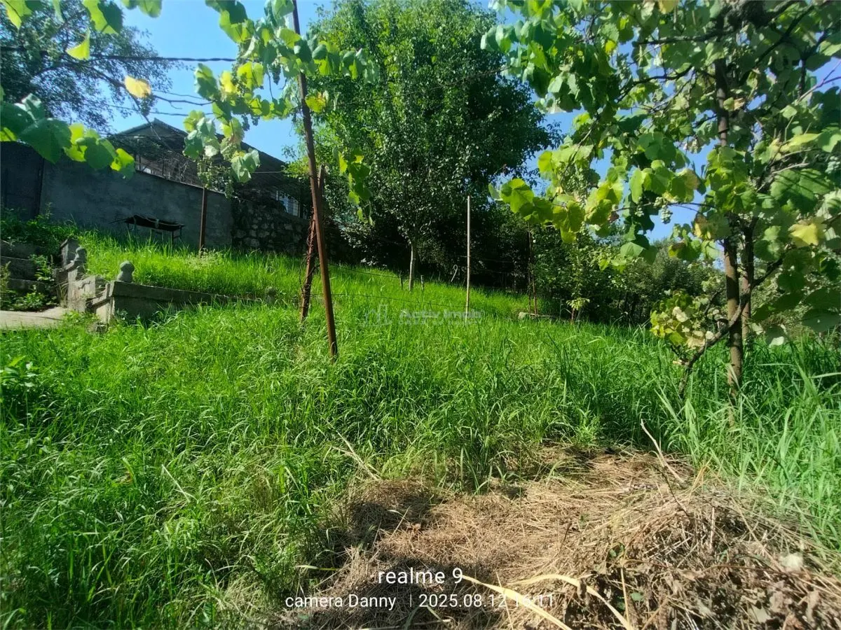 Resita Casa Zona Gradina Zoologica - foto 9