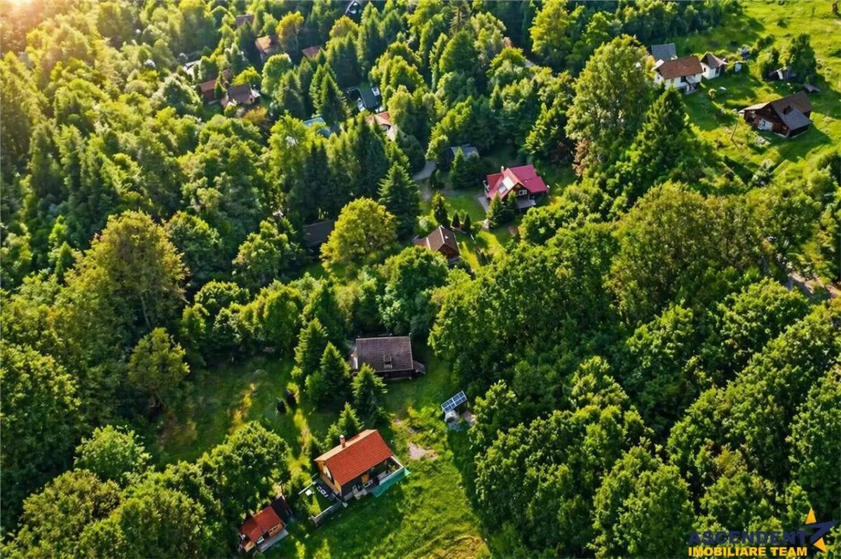 Casa/ Cabana+2.000 mp teren in miracolul naturii autentice,Bucin(Praid), Harghita. - foto 5
