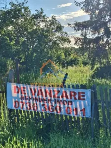 Teren 10000 mp intravilan - agricol / Giurgiu / Oportunitate investitie - Bucsani