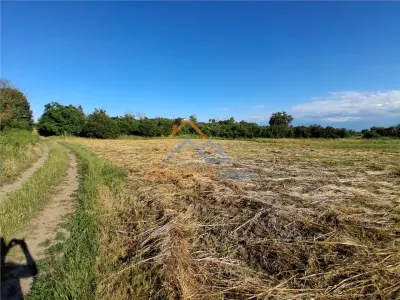 Teren 10000 mp intravilan - agricol / Giurgiu / Oportunitate investitie - foto 2