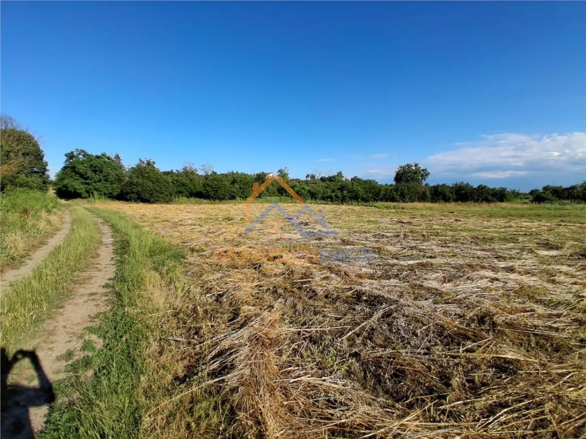 Teren 10000 mp intravilan - agricol / Giurgiu / Oportunitate investitie - foto 2
