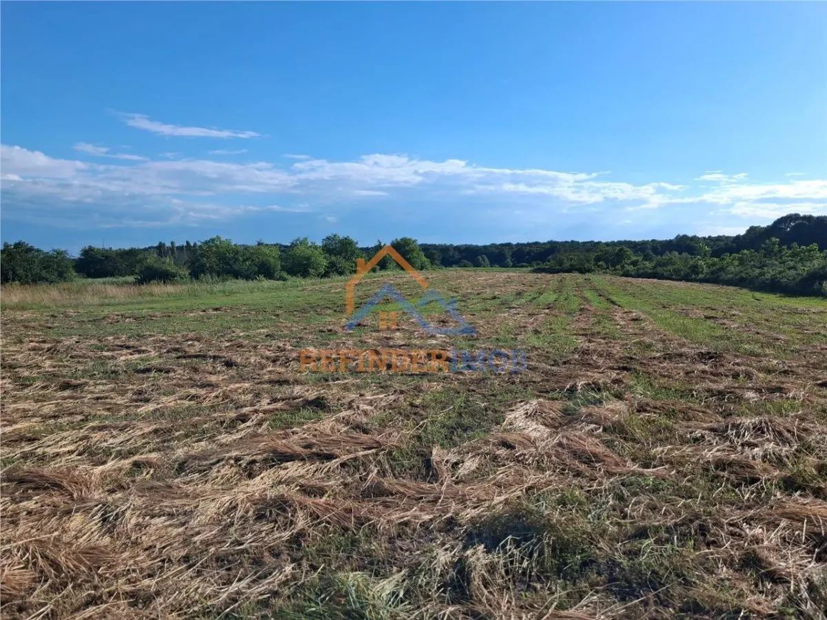 Teren 10000 mp intravilan - agricol / Giurgiu / Oportunitate investitie - foto 4