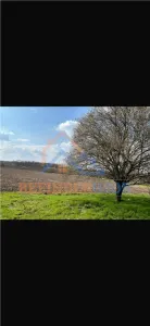 Teren 10000 mp intravilan - agricol / Giurgiu / Oportunitate investitie - foto 6