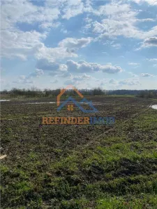Teren 10000 mp intravilan - agricol / Giurgiu / Oportunitate investitie - foto 7