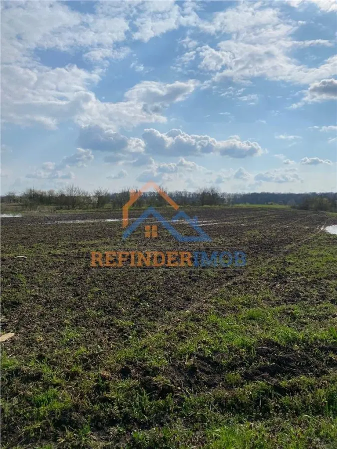 Teren 10000 mp intravilan - agricol / Giurgiu / Oportunitate investitie - foto 7