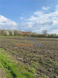 Teren 10000 mp intravilan - agricol / Giurgiu / Oportunitate investitie - foto 8