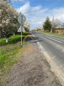 Teren 10000 mp intravilan - agricol / Giurgiu / Oportunitate investitie - foto 9