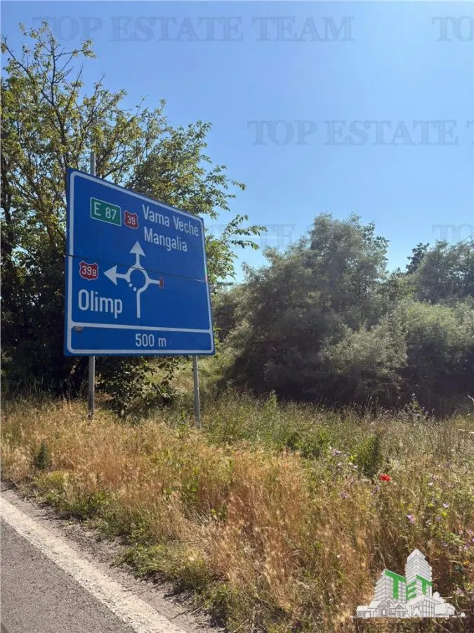 Teren intravilan 1000 m.p in 23 August , Dulcesti , cu proiect pensiune - foto 1