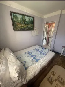Apartament 2 camere etajul 1 Vlahuta-  Branduselor - foto 3