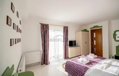 Vila  Premium Bran  Tohanu Nou  500 MP Construiti - foto 17