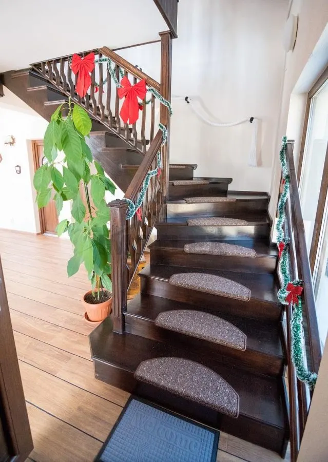 Vila  Premium Bran  Tohanu Nou  500 MP Construiti - foto 10