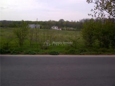 teren intravilan,  5000mp, Ciolpani - accept schimb - Ciolpani