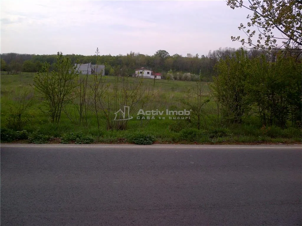teren intravilan,  5000mp, Ciolpani - accept schimb - foto 1