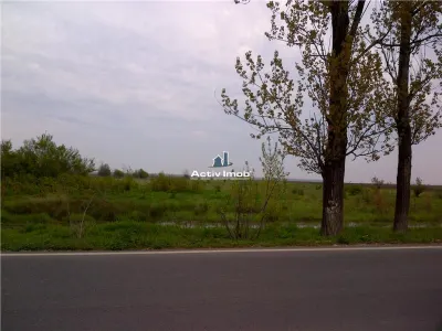 teren intravilan,  5000mp, Ciolpani - accept schimb - foto 2