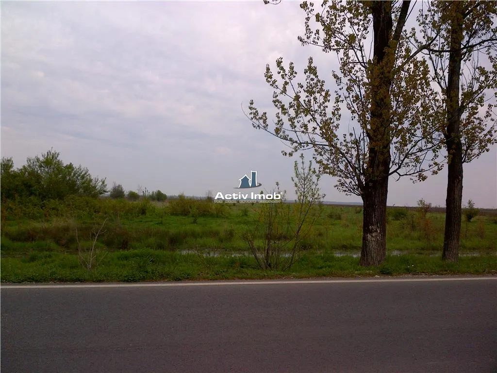 teren intravilan,  5000mp, Ciolpani - accept schimb - foto 2