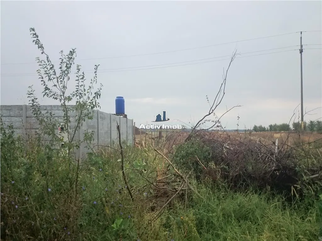 teren intravilan,  5000mp, Ciolpani - accept schimb - foto 3